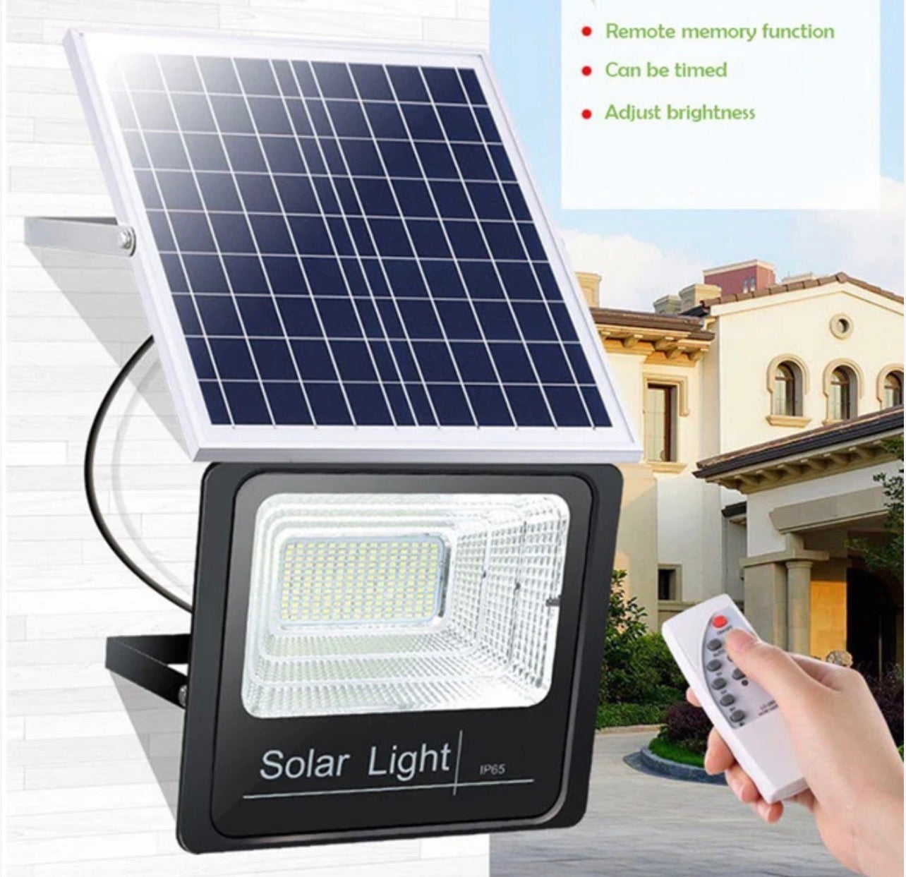 Switched 100W Solar Floodlight with Remote Control